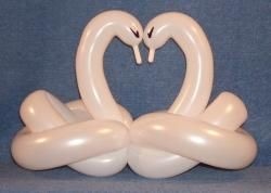 swan balloon sculpting